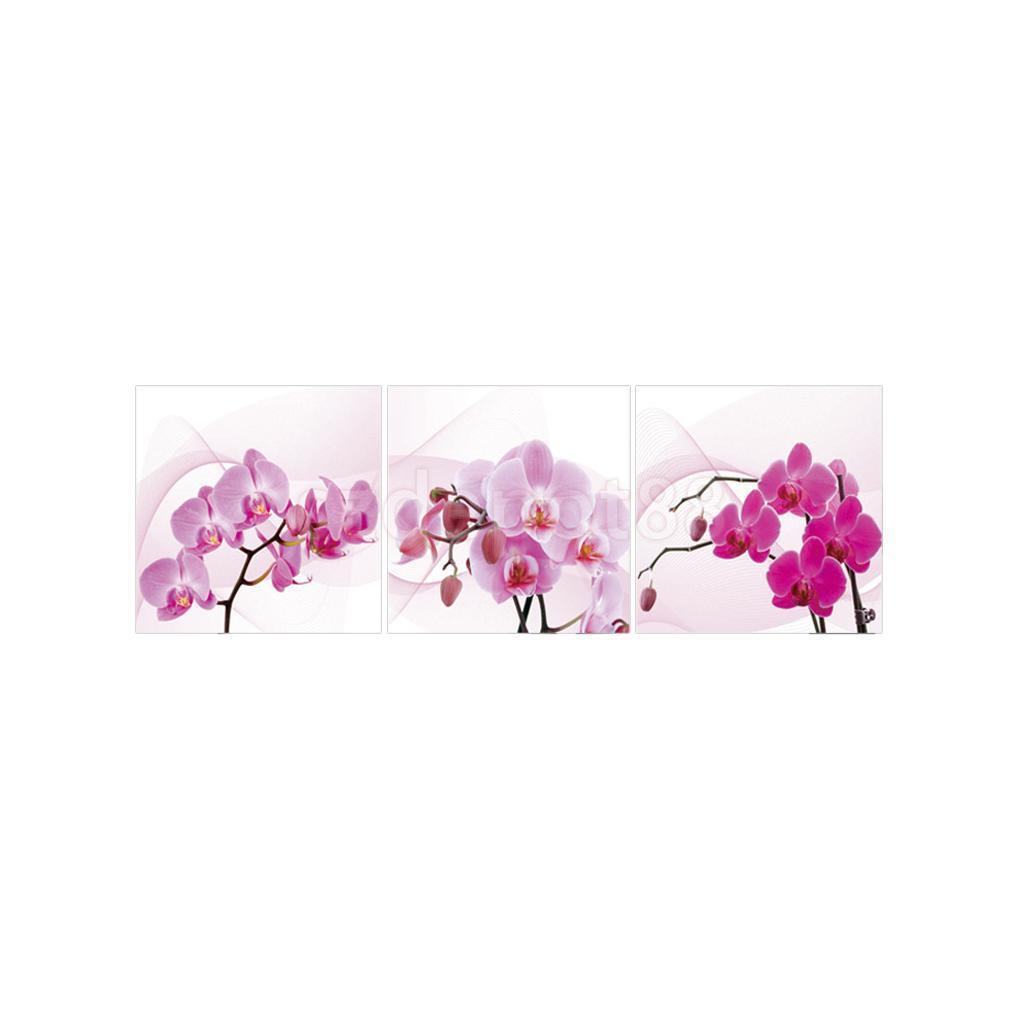 Obraz růžová orchidej 
