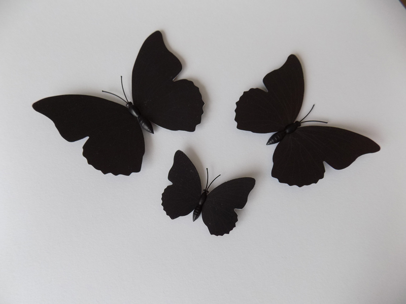Dekorace černého motýla