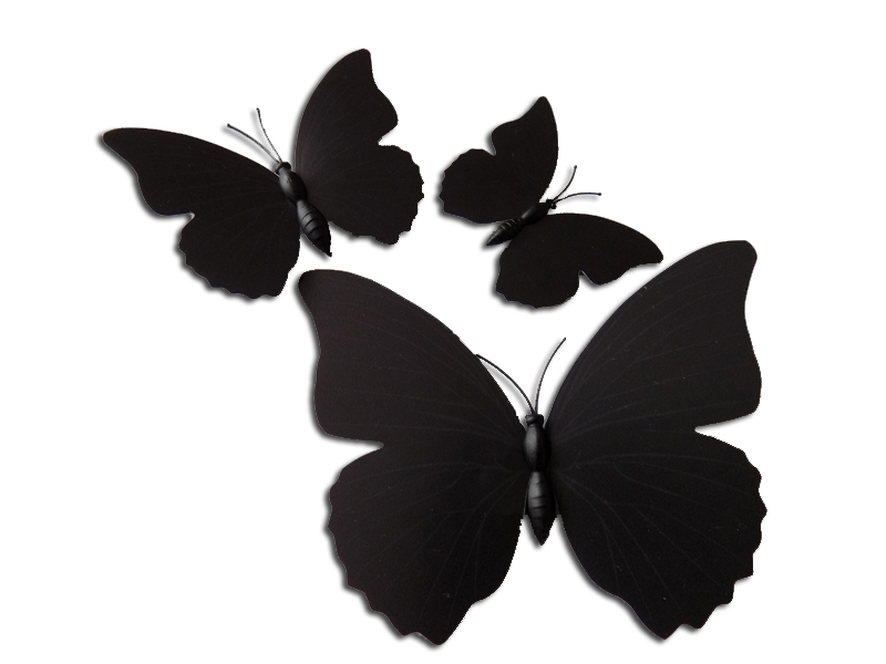 Černý motýl s 3D efektem