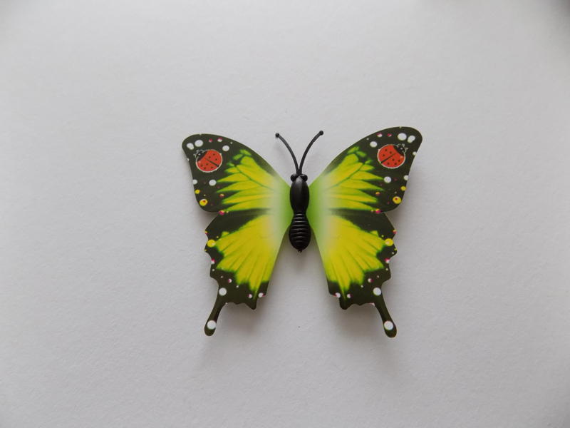 Dekorace 3D motýla