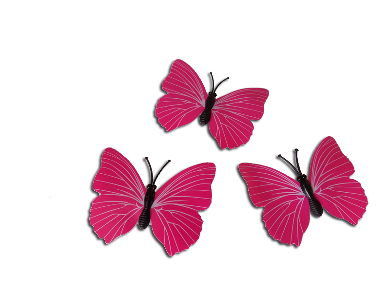 Růžový motýl s 3D efektem