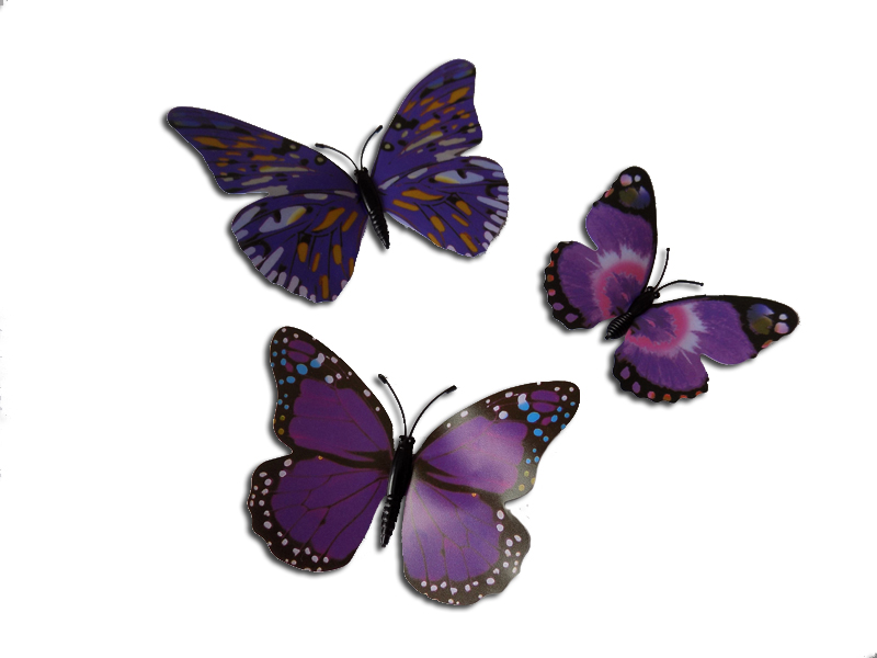 Motýl purpurový s 3D efektem