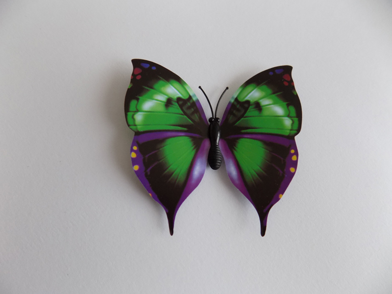 Dekorace motýla